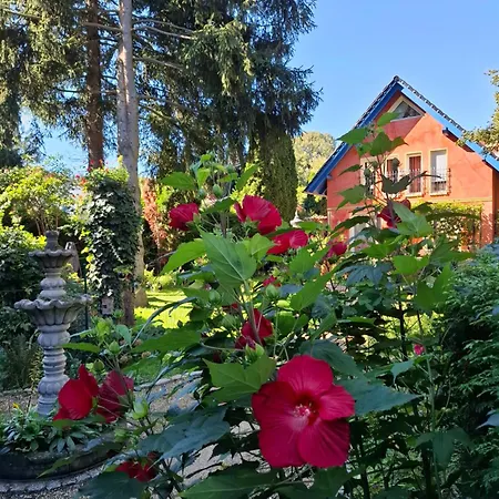 La Paz Lägenhet Schwielowsee